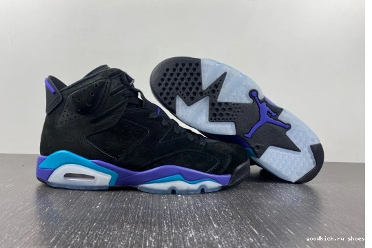  6 Aqua CT8529-004 CT8529-004  Retro Jordan 0329